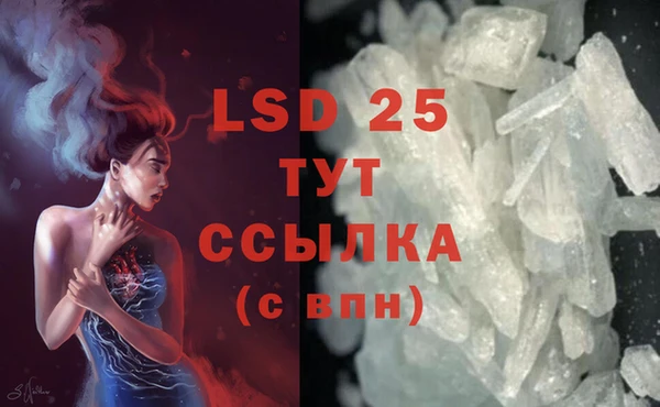 индика Пересвет