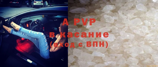 индика Пересвет