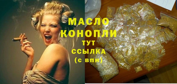 индика Пересвет
