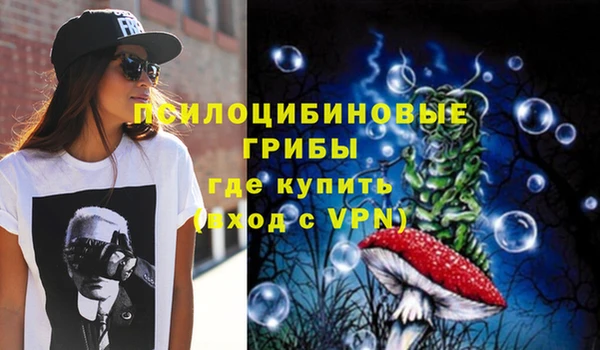 индика Пересвет