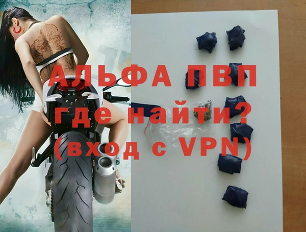 индика Пересвет
