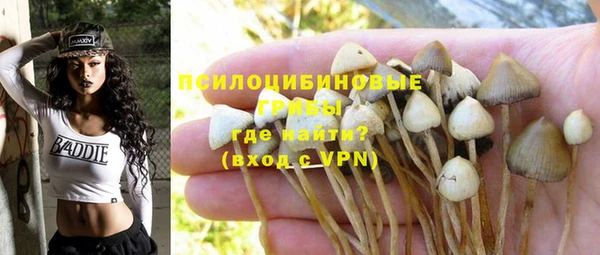 не бодяженный Переславль-Залесский