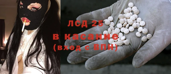 индика Пересвет