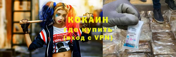 индика Пересвет
