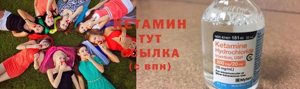 индика Пересвет