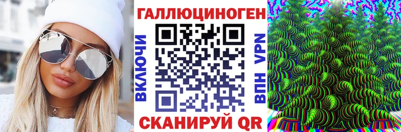 где можно купить   Пушкино  Галлюциногенные грибы прущие грибы 