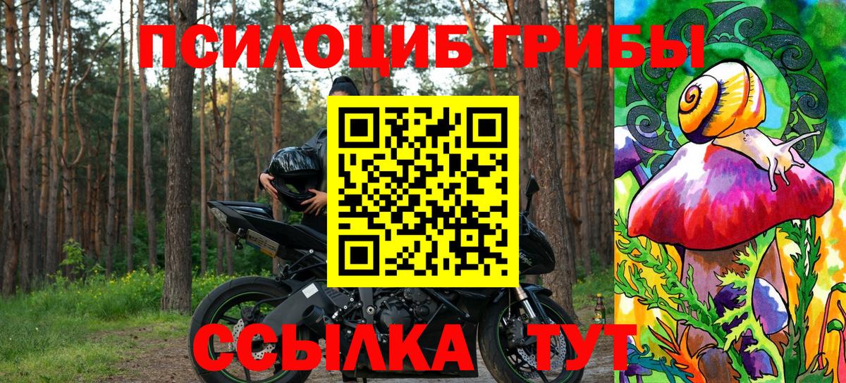 Пушкино  Псилоцибиновые грибы Magic Shrooms  Вход с VPN  Псилоцибиновые грибы MAGIC MUSHROOMS 
