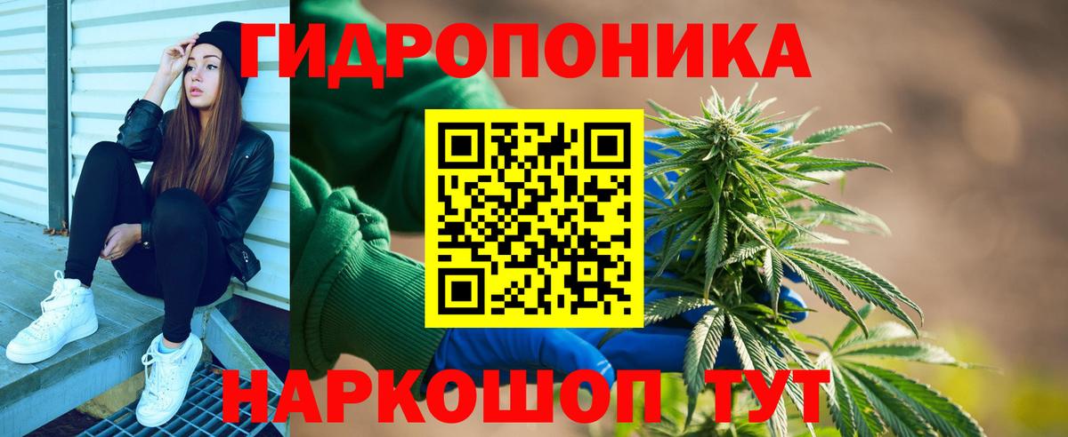 Каннабис семена  Канабис ГИДРОПОН  Марихуана семена  Пушкино  Вход с VPN  Каннабис конопля 